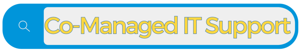 Co-managed IT support