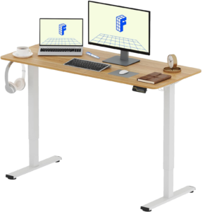 FLEXISPOT Standing Desk Electric Stand Up Desk